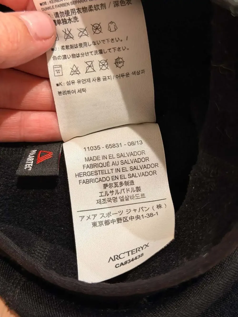 Arc'teryx Rho AR Balaclava Polartec Face Mask